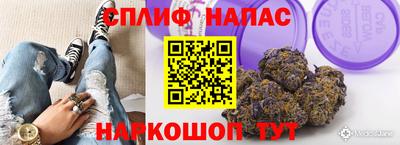 a pvp Кимры