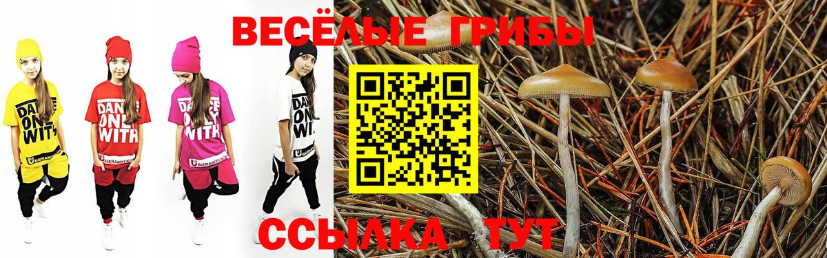 Галлюциногенные грибы MAGIC MUSHROOMS Кольчугино